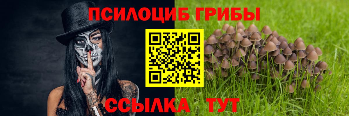 Галлюциногенные грибы прущие грибы  Вход с VPN  Галлюциногенные грибы Psilocybe  Майкоп 